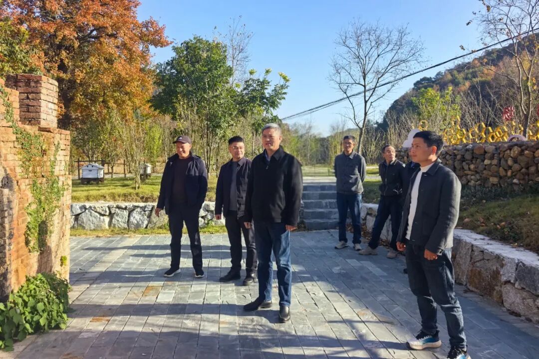 1764559564813421.jpg 1764559564813421.jpg